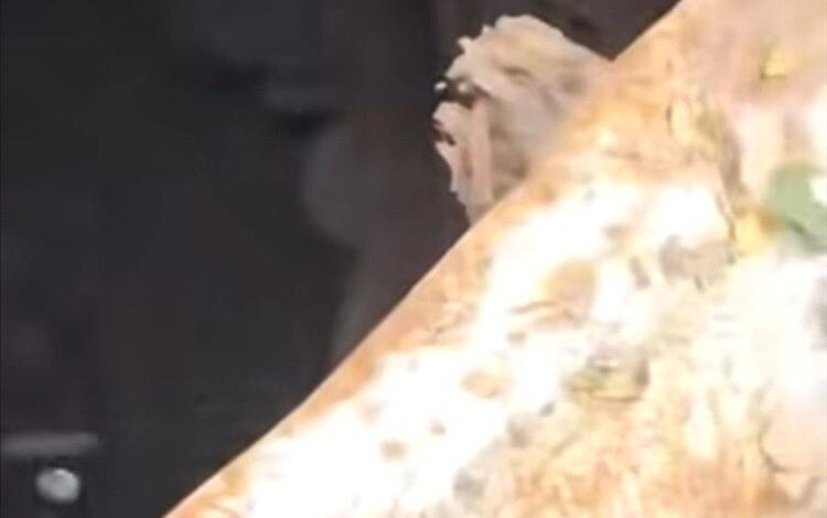 العثور على طفلين مفقودين داخل بئر مكشوف في تعز 1 العثور على طفلين مفقودين داخل بئر مكشوف في تعز