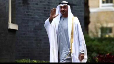 رئيس دولة الإمارات يبدأ زيارة رسمية إلى جمهورية باكستان الإسلامية