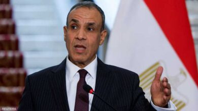 مصر تؤكد دعمها لسوريا في مواجهة التحديات الأمنية