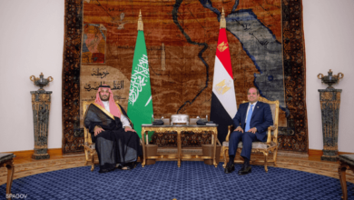 محمد بن سلمان والسيسي يؤكدان خطورة الوضع الإقليمي 10 محمد بن سلمان والسيسي يؤكدان خطورة الوضع الإقليمي
