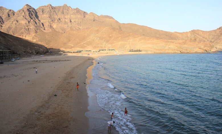 خفر السواحل يدعو لتجنب الشواطئ بسواحل عدن وأبين وشبوة إثر تصاعد إصابات سمكة أبو سَفَن