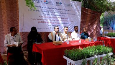 حضرموت.. تدشين مشروع تشتيل أكثر من 21 ألف شجرة سدر في تريم