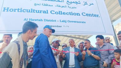 إفتتاح مركز تجميع الحاصلات الزراعية في الحوطة بلحج