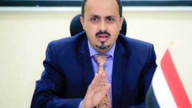 الإرياني يدين بشدة جريمة الحوثي الوحشية بحق أم وجنينها في الدريهمي