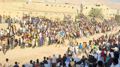 إنطلاق فعاليات سباق الهجن السنوي في تريم وسط حضور جماهيري كبير