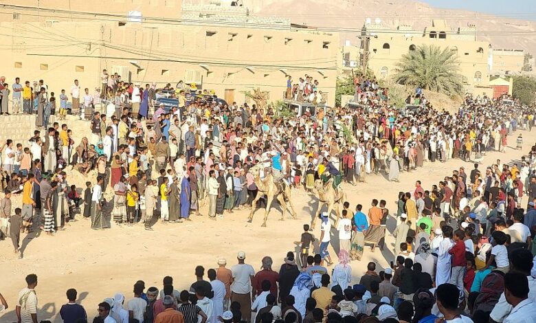 إنطلاق فعاليات سباق الهجن السنوي في تريم وسط حضور جماهيري كبير