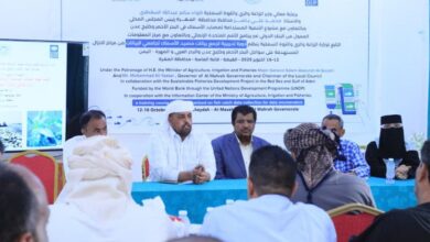 المهرة.. انطلاق دورة تدريبية لتعزيز قدرات فرق جمع بيانات مصيد الأسماك