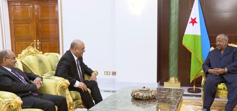 الرئيس الجيبوتي يستقبل وزير التخطيط ويؤكد دعم التعاون الثنائي في قطاع الاتصالات