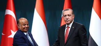عين إردوغان على سقطرى للتوغل في اليمن
