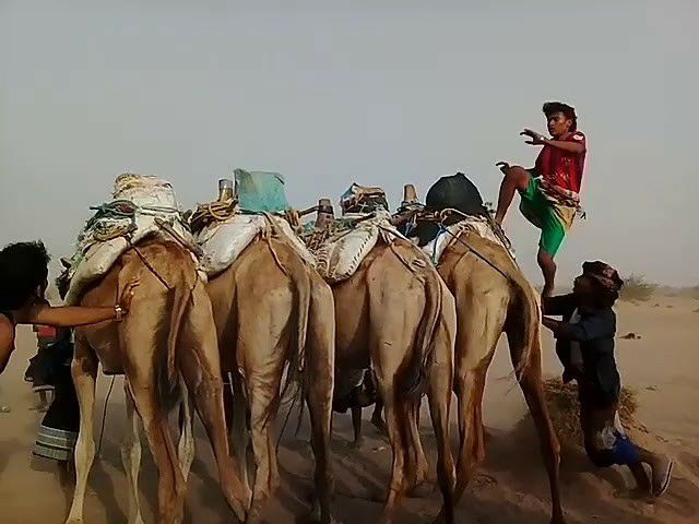 شكلوا رعباً حقيقياً لكل دويلات اليمن: الزرانيق.. أسطورة الرقص والقفز والثورة! 1 شكلوا رعباً حقيقياً لكل دويلات اليمن: الزرانيق.. أسطورة الرقص والقفز والثورة!