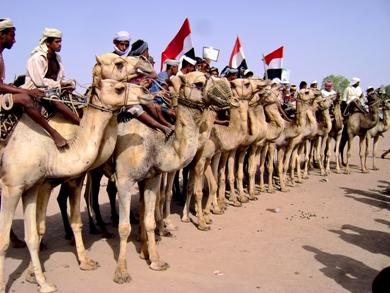 وزير الشباب والرياضة يوجه باعتماد مشاريع رياضية في الحديدة ولحج والضالع 1 وزير الشباب والرياضة يوجه باعتماد مشاريع رياضية في الحديدة ولحج والضالع