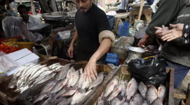الصحة المصرية تحذر من سمكة سامة في الأسواق تؤدي إلى الوفاة وليس لها ترياق 1 الصحة المصرية تحذر من سمكة سامة في الأسواق تؤدي إلى الوفاة وليس لها ترياق