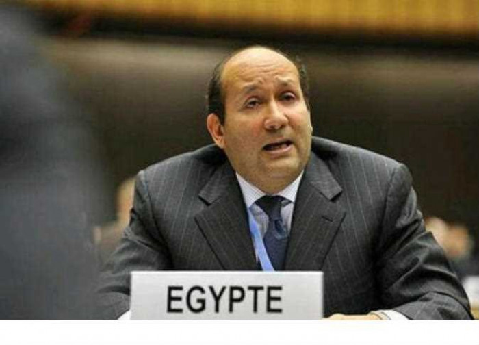 الخارجية المصرية تتسلم قطعتين أثريتين من إيطاليا 1 الخارجية المصرية تتسلم قطعتين أثريتين من إيطاليا