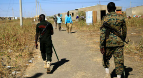 السودان يؤكد حماية كل شبر من حدوده المحررة 1 السودان يؤكد حماية كل شبر من حدوده المحررة