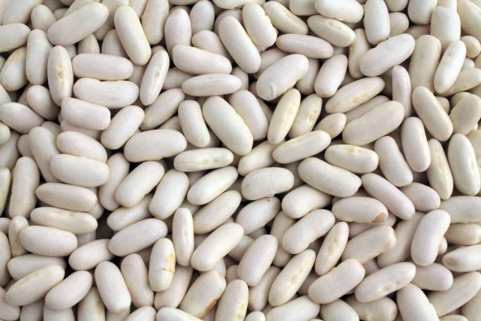 الفاصولياء البيضاء تحارب المواد السامة التى تدخل الجسم 1 الفاصولياء البيضاء تحارب المواد السامة التى تدخل الجسم