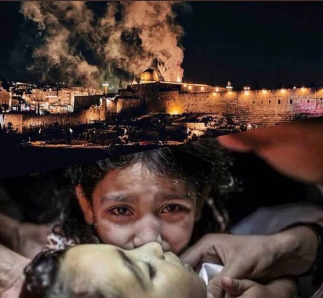 دماء الفلسطينيين وقود الإخوان لمهاجمة دول الخليج 1 دماء الفلسطينيين وقود الإخوان لمهاجمة دول الخليج