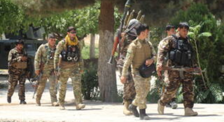 تصفية أكثر من 1400 عنصر من "طالبان" منذ بداية الأسبوع في أفغانستان 1 تصفية أكثر من 1400 عنصر من "طالبان" منذ بداية الأسبوع في أفغانستان