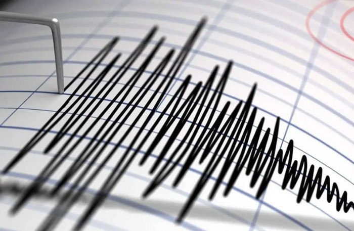 دون خسائر .. مصر تسجل هزتين أرضيتين شمال وشرق البحر الأحمر 1 دون خسائر .. مصر تسجل هزتين أرضيتين شمال وشرق البحر الأحمر