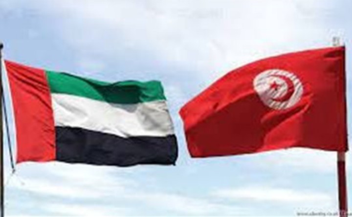الإمارات تؤكد تضامنها ودعمها الكامل لتونس 1 الإمارات تؤكد تضامنها ودعمها الكامل لتونس