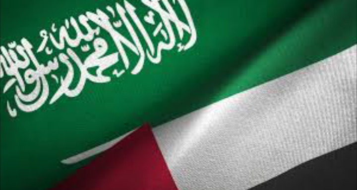 دبلوماسية المساعدات الإماراتية السعودية في اليوم العالمي للعمل الإنساني 1 دبلوماسية المساعدات الإماراتية السعودية في اليوم العالمي للعمل الإنساني