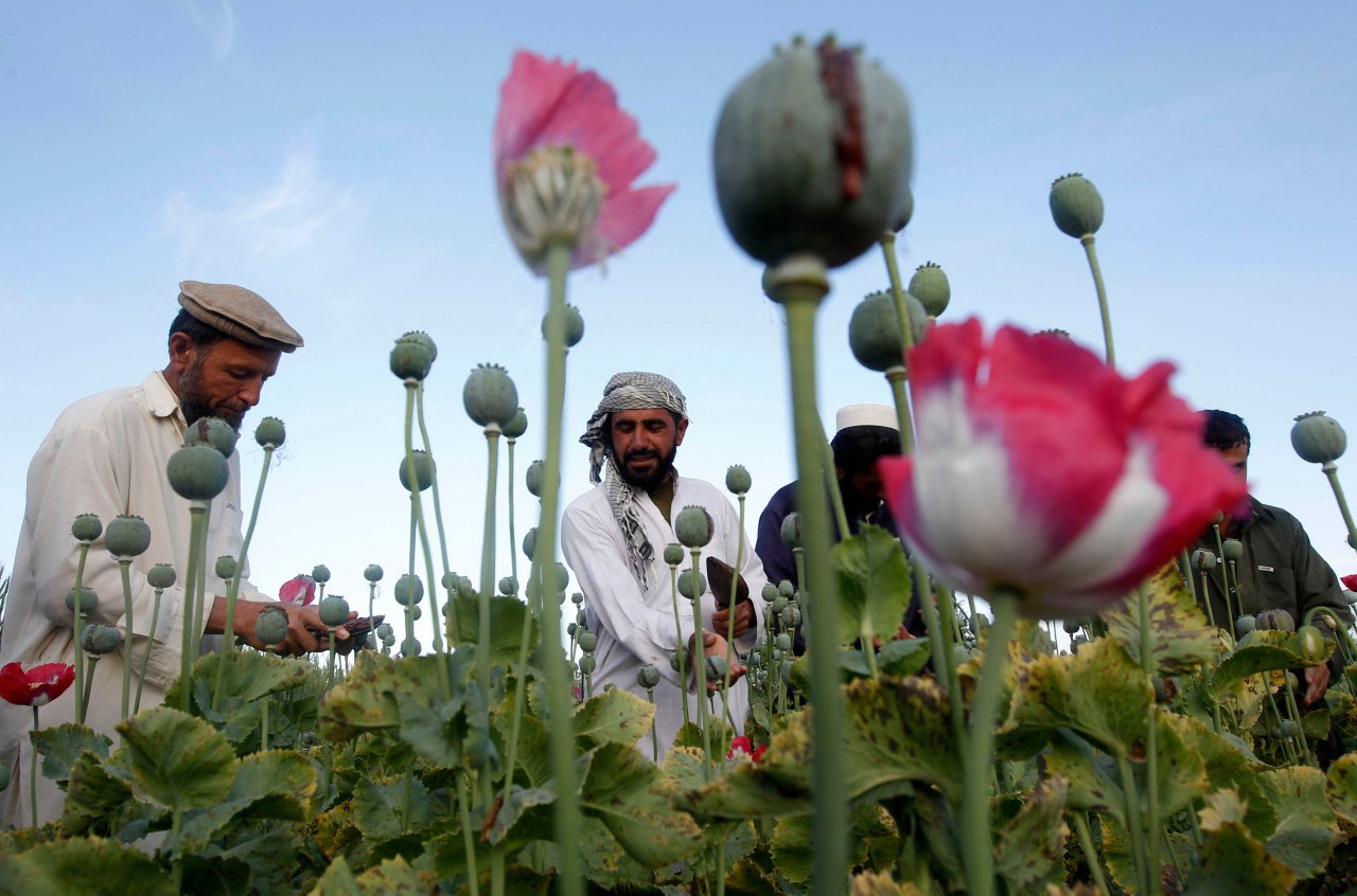 الهند .. ضبط أطناناً من الهيروين المهربة من أفغانستان 1 الهند .. ضبط أطناناً من الهيروين المهربة من أفغانستان
