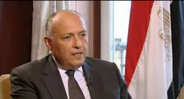 مصر: وجود المرتزقة يؤثر سلبياً على الأمن القومي الليبي 1 مصر: وجود المرتزقة يؤثر سلبياً على الأمن القومي الليبي