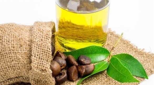 فوائد زيت الكاميليا لجمال البشرة والشعر