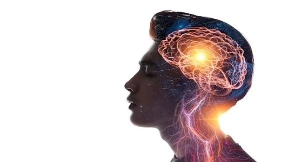 باحثون يكتشفون أدمغة البشر تتأخر 15 ثانية بإظهار الصور المحيطة