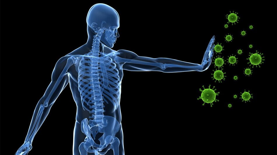 رقائق مخبرية قد تكشف ألغاز نظام جهاز المناعة