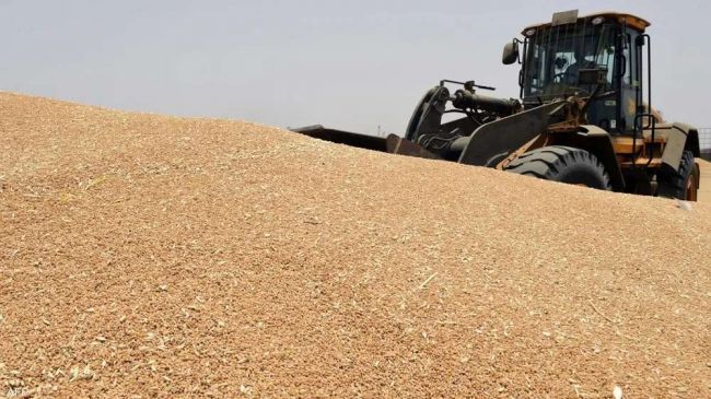 الهند تعلن إستثناء اليمن من قرار حظر تصدير القمح