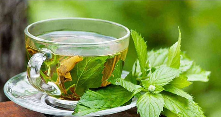 شرب كوبين من الشاي الأخضر يقلل من خطر الإصابة بمرض السكري