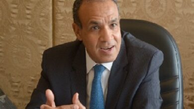 وزير الخارجية المصري يدعو إلى “التطبيق الكامل” لاتفاق وقف النار في غزة