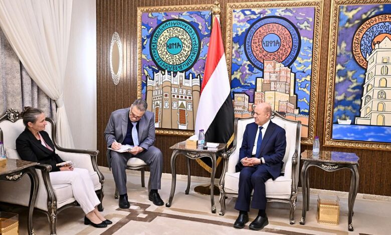 الرئيس العليمي يستعرض مع سفيرة هولندا دعم العلاقات الثنائية والتحديات في اليمن
