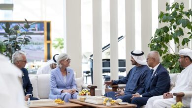 الرئيس الإماراتي وسام موستين يؤكدان أهمية تعزيز الاستقرار الإقليمي والتنمية المشتركة