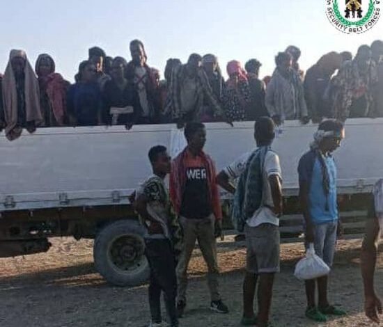 الأمن يحبط تهريب شاحنتين محملتين بالمهاجرين الأفارقة في أبين 1 الأمن يحبط تهريب شاحنتين محملتين بالمهاجرين الأفارقة في أبين