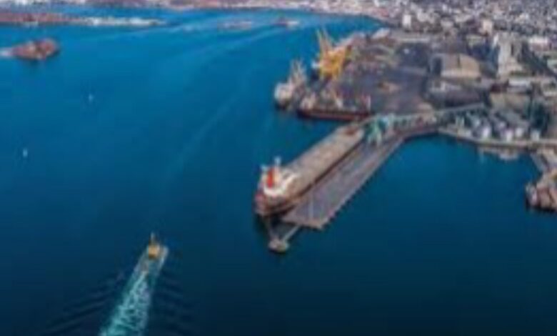 35 % زيادة واردات الغذاء إلى الموانئ الحكومية خلال الربع الأول من 2025