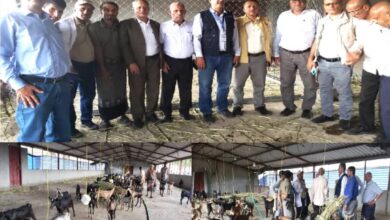 وفد من الفاو يتفقد المحاجر البيطرية في المخا والمسراخ ضمن مشروع لدعم الزراعة والتغذية