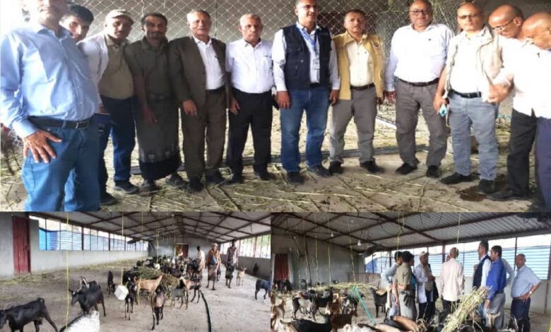 وفد من الفاو يتفقد المحاجر البيطرية في المخا والمسراخ ضمن مشروع لدعم الزراعة والتغذية 1 وفد من الفاو يتفقد المحاجر البيطرية في المخا والمسراخ ضمن مشروع لدعم الزراعة والتغذية