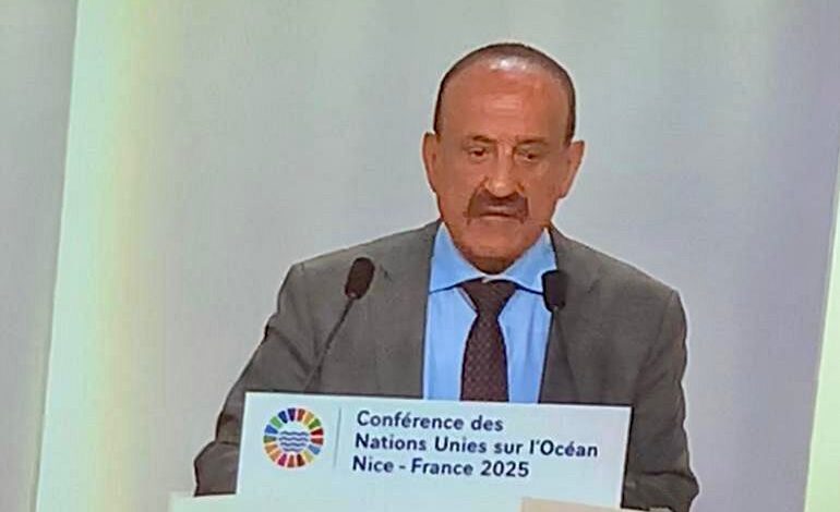 اليمن تحذر من مخاطر بيئية تهدد سواحلها بسبب الحرب التي أشعلها الحوثي 1 اليمن تحذر من مخاطر بيئية تهدد سواحلها بسبب الحرب التي أشعلها الحوثي