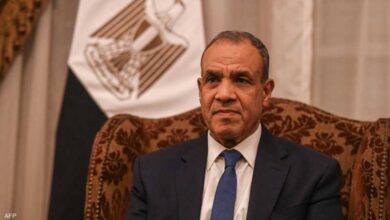 مصر تشدد على ضرورة الاعتراف بالدولة الفلسطينية ووقف العدوان الإسرائيلي