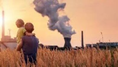 دراسة: تلوث الهواء يضعف نظر الأطفال.. والهواء النقي وصفة للحماية 10 دراسة: تلوث الهواء يضعف نظر الأطفال.. والهواء النقي وصفة للحماية