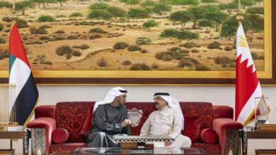 الرئيس الإماراتي يبحث مع ملك البحرين تعزيز التعاون والتضامن الإقليمي