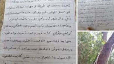 الشبكة اليمنية تدين جريمة قيادي حوثي بحق طفلة قاصر في الحديدة
