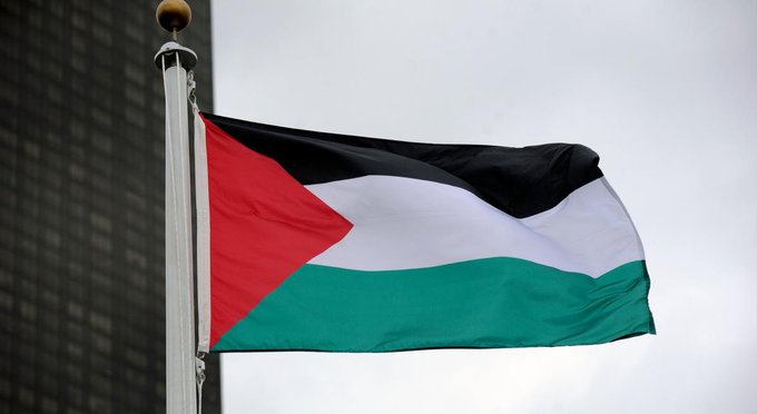 المفوضية السامية تعتبر الاعتراف بفلسطين تحولاً محورياً في مسار العدالة الدولية 1 المفوضية السامية تعتبر الاعتراف بفلسطين تحولاً محورياً في مسار العدالة الدولية
