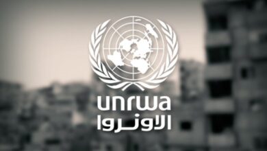 حصيلة ضحايا الأونروا في غزة تتجاوز 370 موظفًا منذ اندلاع الحرب