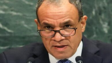 وزير الخارجية: مصر وضعت خطة محكمة لليوم التالي لوقف الحرب على غزة