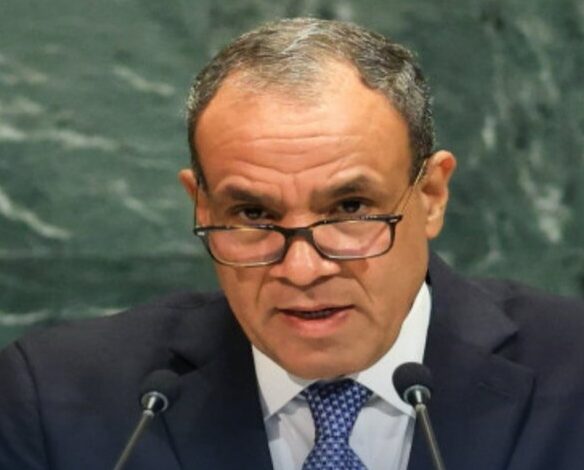 وزير الخارجية: مصر وضعت خطة محكمة لليوم التالي لوقف الحرب على غزة 1 وزير الخارجية: مصر وضعت خطة محكمة لليوم التالي لوقف الحرب على غزة