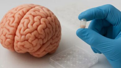 كبسولات مجهرية تفتح أفقاً جديداً لعلاج التهابات الدماغ والزهايمر 8 كبسولات مجهرية تفتح أفقاً جديداً لعلاج التهابات الدماغ والزهايمر