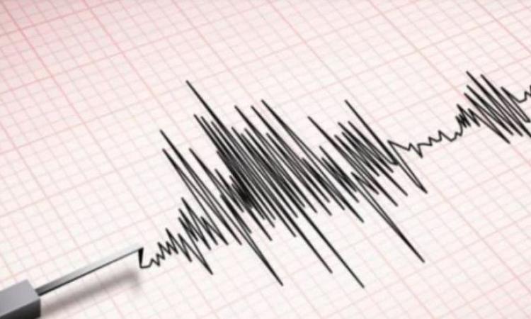 زلزال بقوة 6 درجات يضرب مقاطعة جاوة الشرقية في إندونيسيا دون أضرار 1 زلزال بقوة 6 درجات يضرب مقاطعة جاوة الشرقية في إندونيسيا دون أضرار