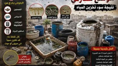 صحة الشيخ عثمان تدق ناقوس الخطر وتدعو لتحرك عاجل لمواجهة انتشار البعوض بعدن 6 صحة الشيخ عثمان تدق ناقوس الخطر وتدعو لتحرك عاجل لمواجهة انتشار البعوض بعدن